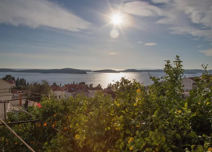Biba Hvar *