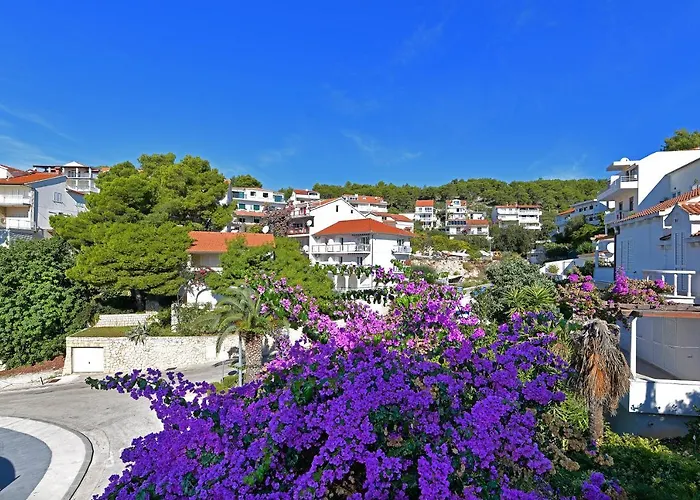Biba Hvar Hvar Town